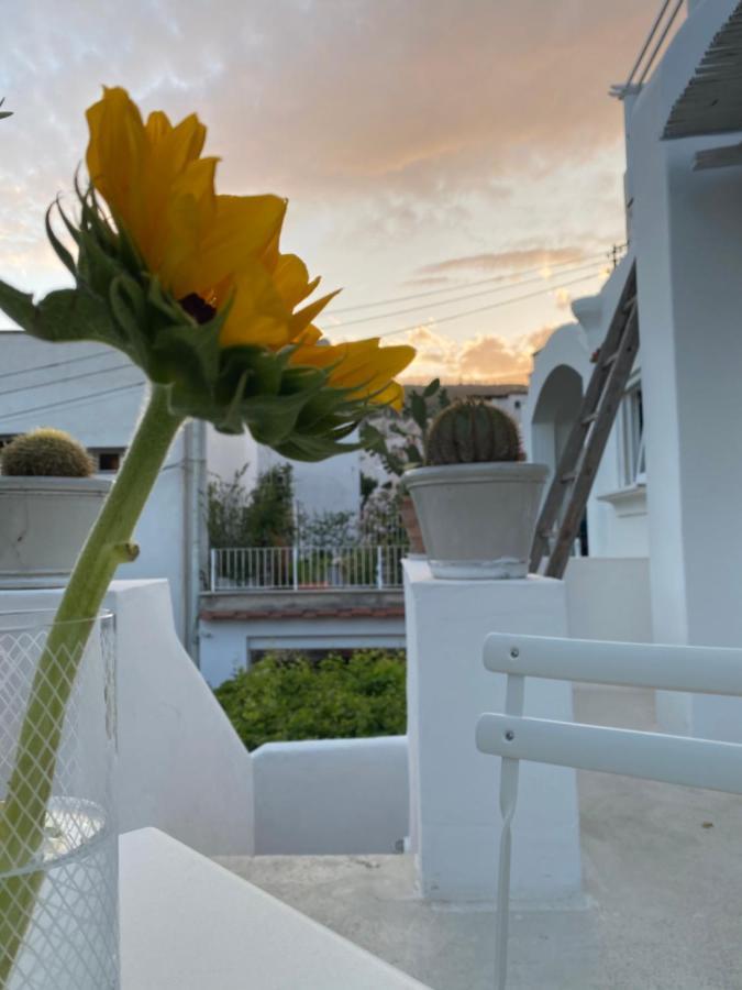 Suites Edivino Design Capri Luaran gambar