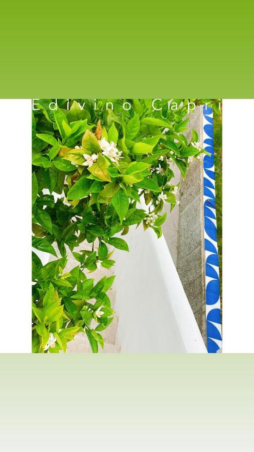 Suites Edivino Design Capri Luaran gambar